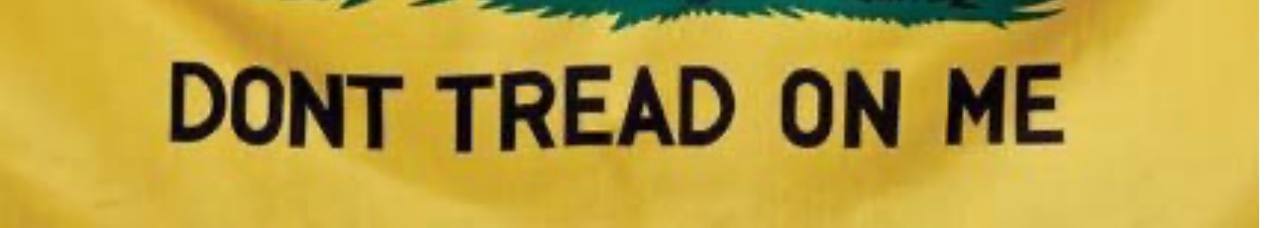 The Libertarian Perspective