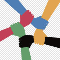 The Libertarian Perspective on Social Interaction